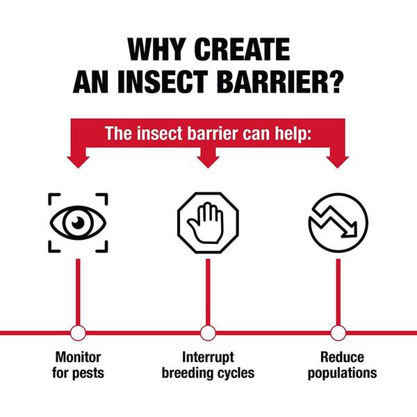 Tree Shield Insect Adhesive Barrier