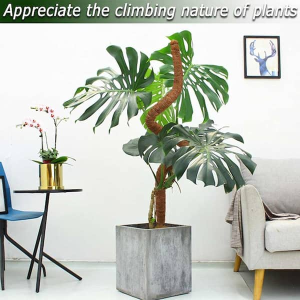28 in. Bendable Moss Pole for Climbing Plants, 2-Pack OGSA11054