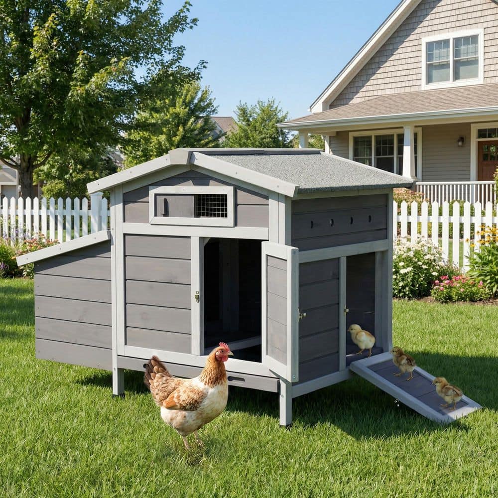Outdoor Free-Range Wooden Chicken Coop with Asphalt Roof, Leak