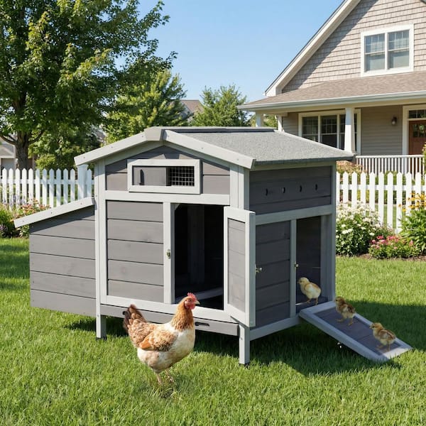 Outdoor Free-Range Wooden Chicken Coop with Asphalt Roof, Leak