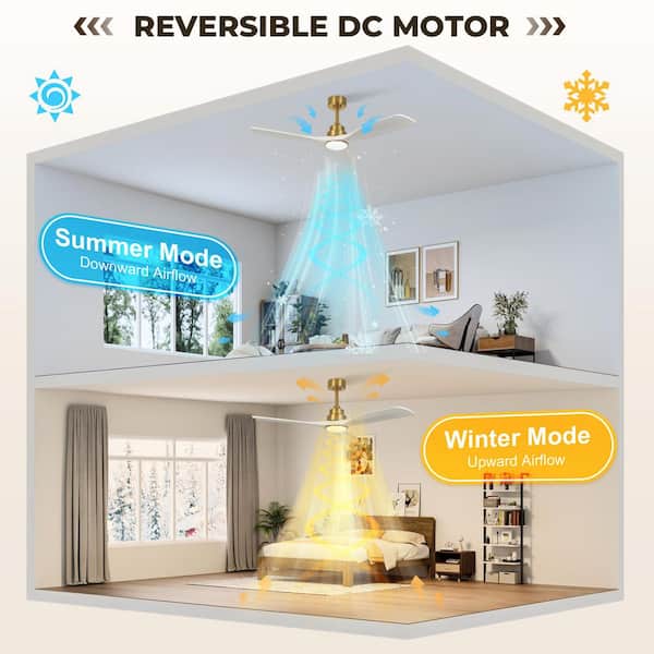 TOZING 52 in. Smart Indoor White & Gold Low Profile Semi Flush