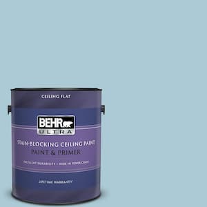 1 gal. #S480-2 Sea Wind Ceiling Flat Interior Paint and Primer