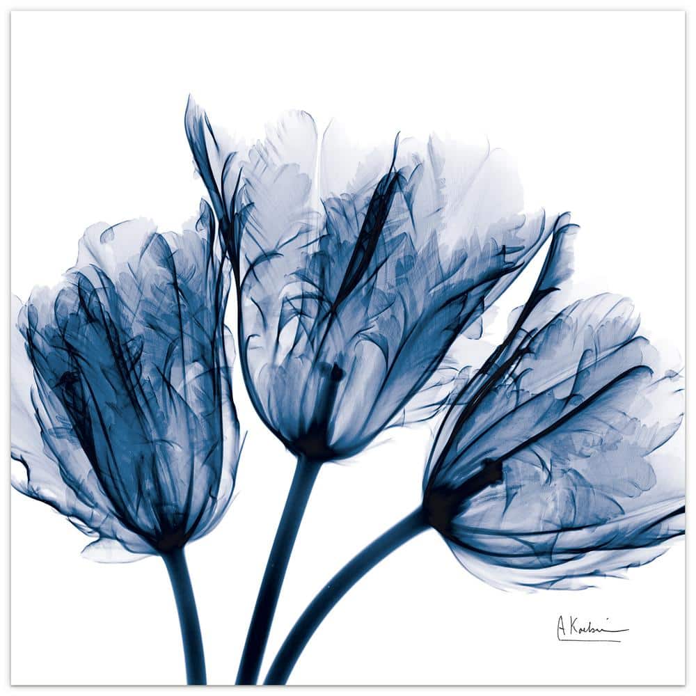 Blue Magnolia X-Ray Frameless Free Floating Tempered Glass Panel Graphic Wall Art price history on PriceWatchPro