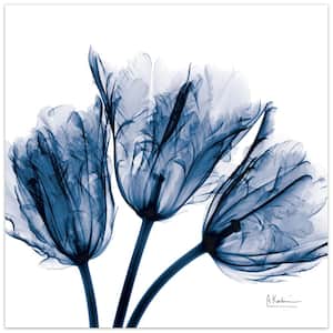 "Blue Tulip X-Ray" Frameless Free Floating Tempered Glass Panel Graphic Wall Art