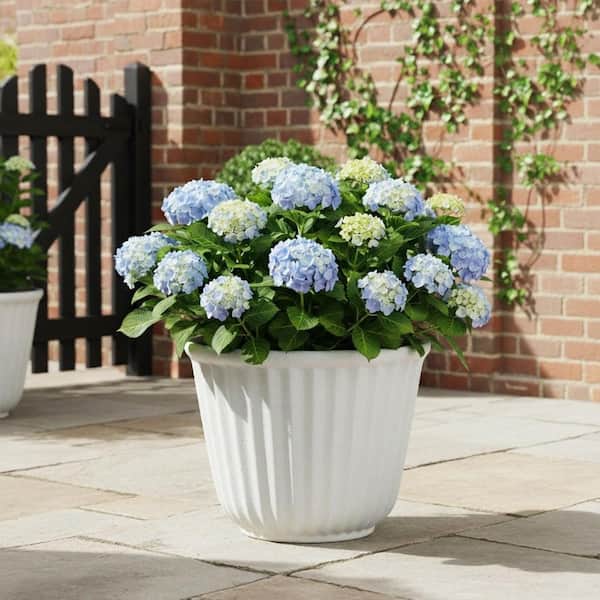 Lark & Vine Kensington White Resin Recycled Materials Planter with