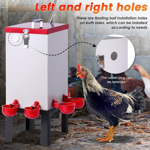 Automatic Chicken Water Feeder Kit - 4 Pack, Easy Fill Drinking Bowl For Poultry, Waterer Supplies:Pet Supplies
