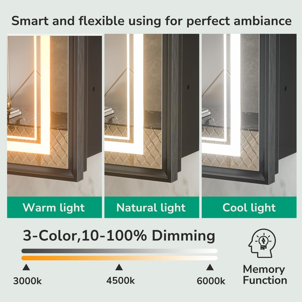 16x24 Black Aluminum LED Medicine Cabinet with Mirror and Defog