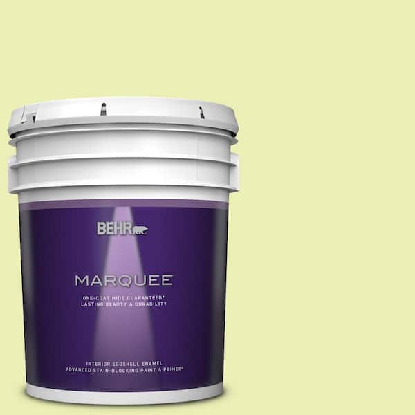 BEHR MARQUEE 5 gal. #410A-2 Cabbage Green Eggshell Enamel Interior Paint & Primer