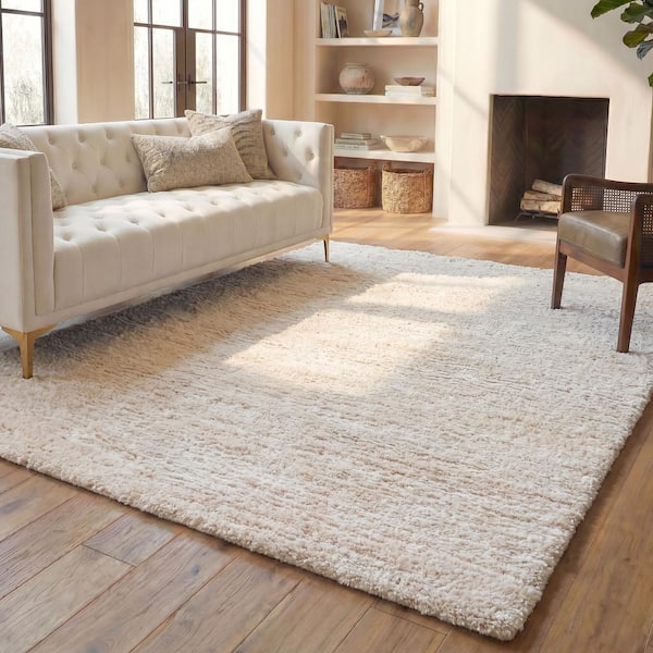 Berber Shag 2 ft. x 4 ft. Ivory/Beige Two-Toned Solid Area Rug