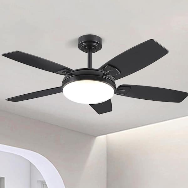 Kviflon 52 in. Indoor/Outdoor Modern Black Ceiling Fans with Dimmable 3 Colors Lights and Remote/APP