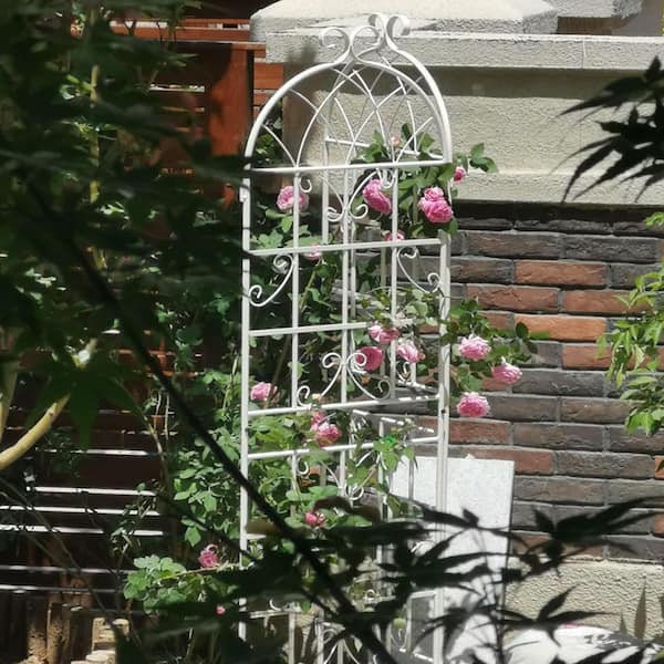 71 in. Height Metal Garden Rustproof Trellis Outdoor Flower Support for Climbing Plants in White (2 Pack)