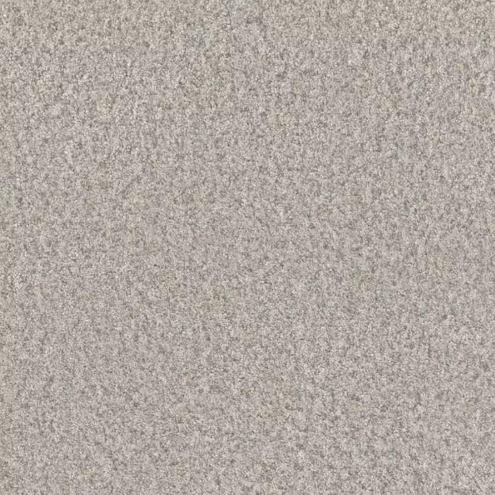 8 in. x 8 in. Texture Carpet Sample-Manuscript I-Color Journal price history on PriceWatchPro