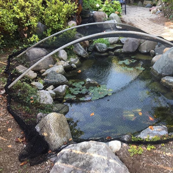 bird net for fish pond OGETFUUR 25 ft. x 50 ft. Bird Netting, Extra Strong Woven Garden Netting, Pest Barrier for Plants Fruit Trees and Vegetables