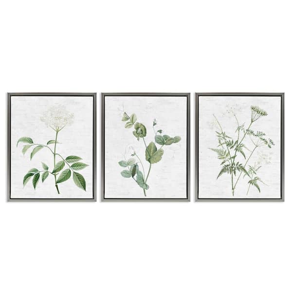 Soft White Botanicals by Lettered and Lined 3 Pieces Gray Floater Frame Nature Graphic Art Print 31 in. x 25 in.