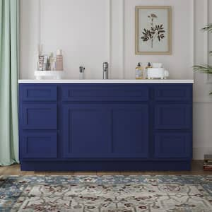 66 in. W x 21 in. D x 32.5 in. H Bath Vanity Cabinet without Top in Blue