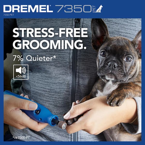 Dremel 4-Volt 2 Amp USB Cordless Rotary Tool Pet Nail Grooming with 5 Sanding 7350-PET - The Home Depot