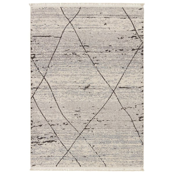 Zia Gray 9 ft. x 12 ft. Trellis Area Rug