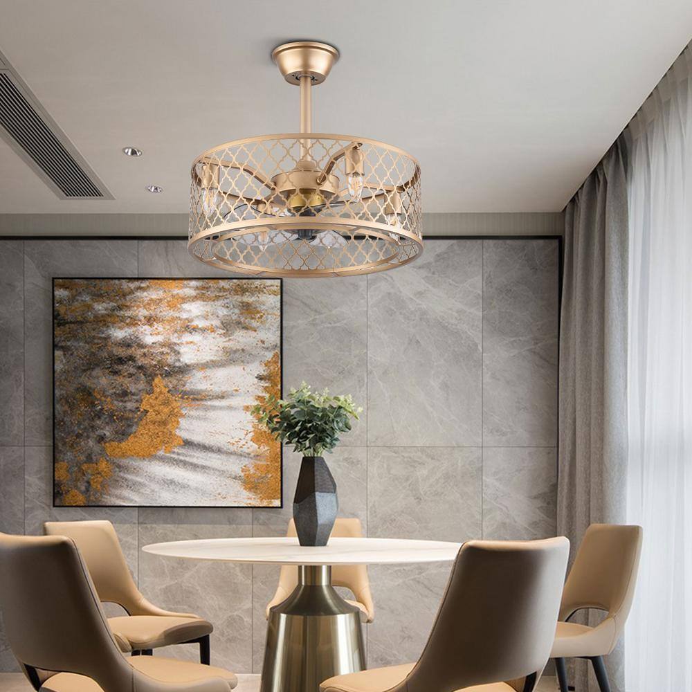 20-Inch Gold Metal Caged Ceiling Fan with Remote and Lighting