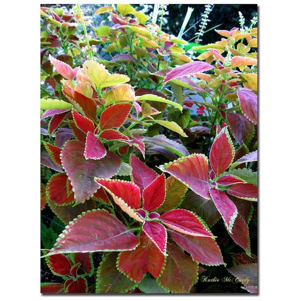 24 in. x 32 in. Magical Garden I Canvas Art