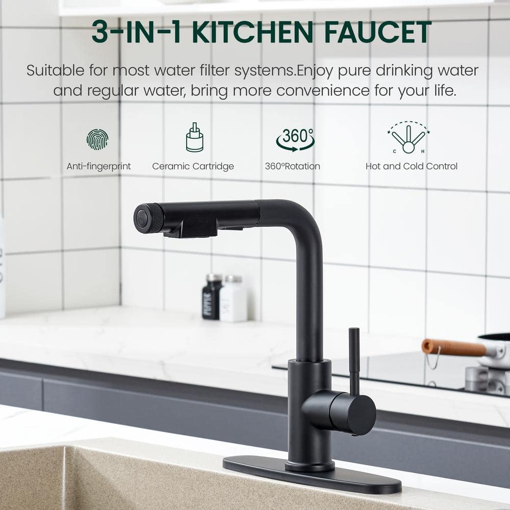 Matte Black Stainless Steel Pull-Out Spray Kitchen Faucet
