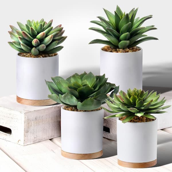 Regency International 5.5 in. to 6.5 in. Green Artificial Succulents in Pot