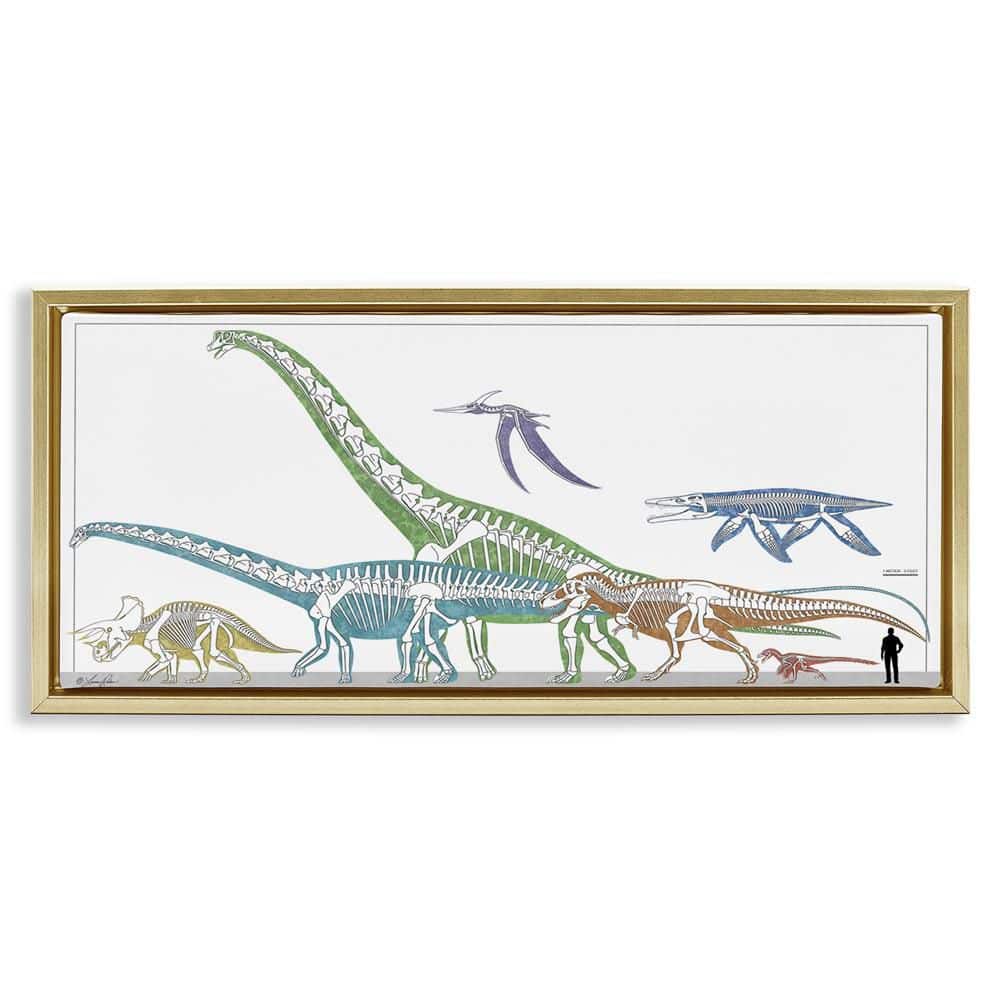 Educational Prehistoric Skeletons by Lauren Rader Gold Floater Frame Animal Graphic Art Print 14 in. x 31 in. price history on PriceWatchPro