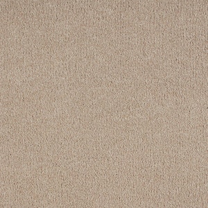Northern Hills II Wheat Beige 54 oz. Blend Texture Installed Carpet