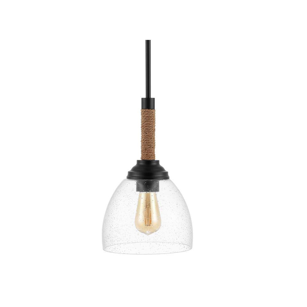 Alys 7.63" Modern Rustic Iron & Clear Glass LED Pendant - Black