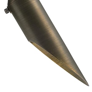 Low Voltage Long Cowl Centennial Brass Hardwired Outdoor Weather Resistant Spotlight with No Bulbs Included
