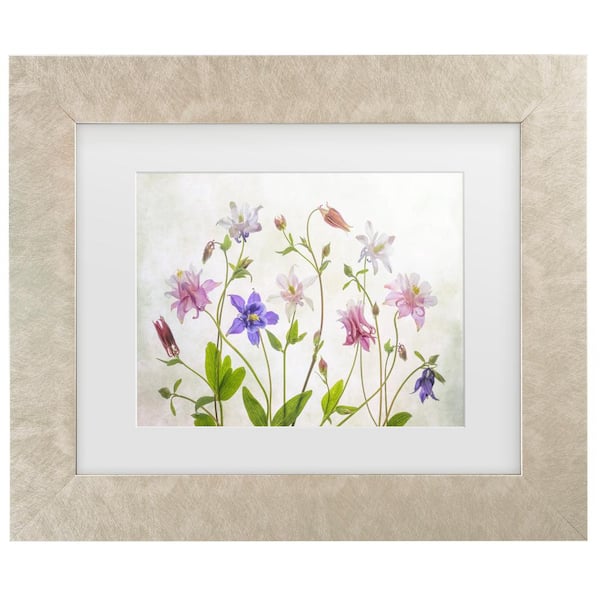 Mandy Disher Columbine Matted Framed Photography Wall Art 19.5 in. x 23.5 in