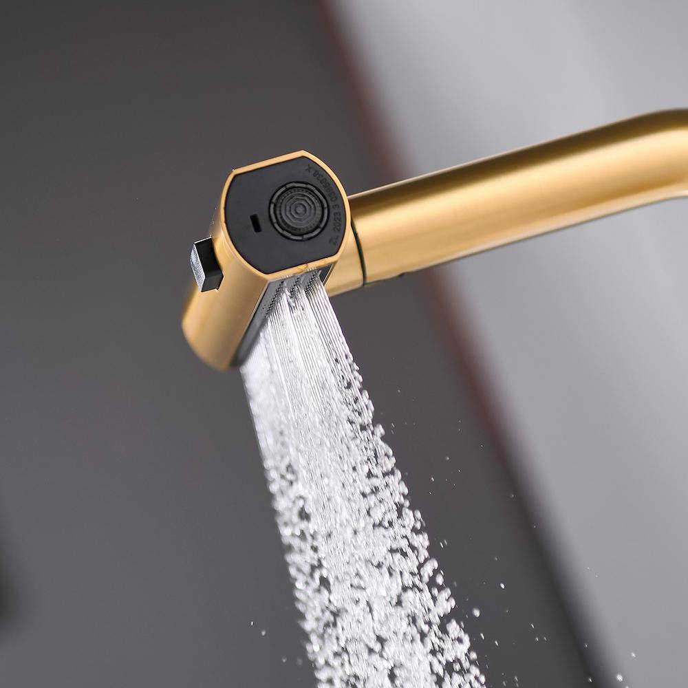 Brushed Gold Stainless Steel Single Handle Pull Out Kitchen Faucet
