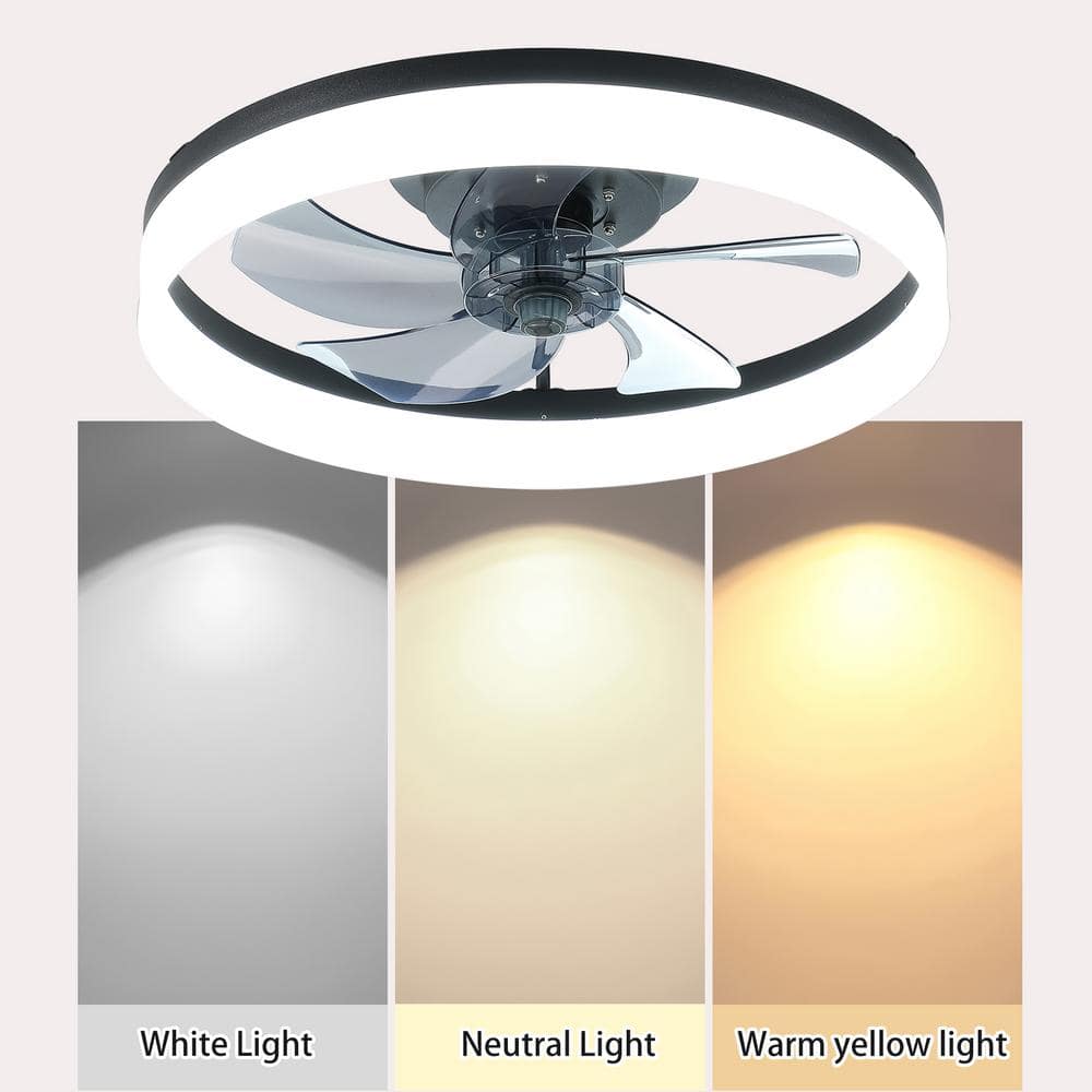 Modern Black Flush Mount Ceiling Fan with LED Light and Remote Control