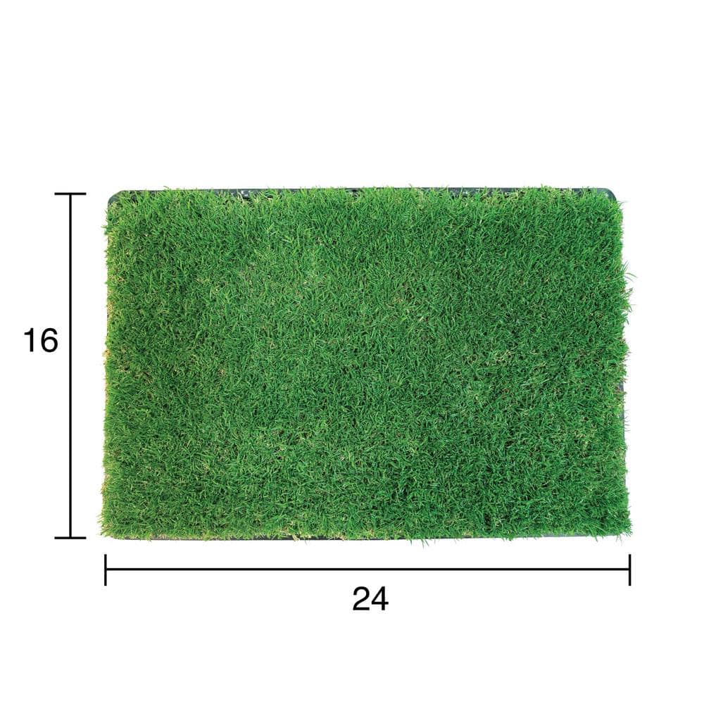 Small Green Natural Grass Dog Potty Pad