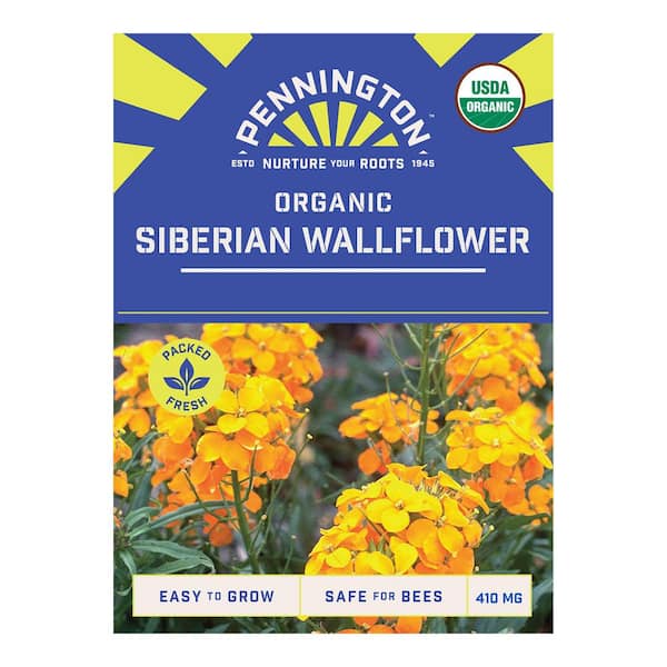 Organic Siberian Wallflower Flower Seeds