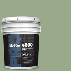 5 gal. #PPU11-05 Pesto Green Satin Exterior Paint