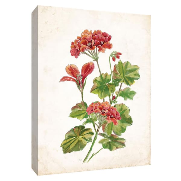 PTM Images 12 in. x 10 in. ''Scarlet Botanical II'' Canvas Wall Art