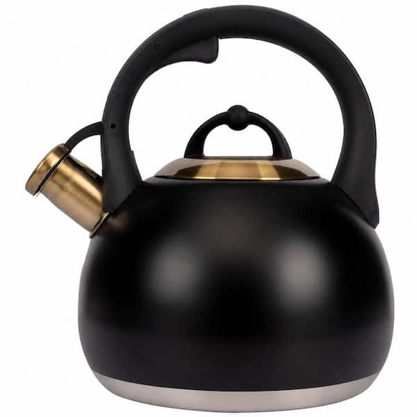 3.1 Quart Stainless Steel Tea Kettle for Stovetop, Whistling Teapot for Home and Kitchen