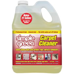 Woolite Heavy Traffic Carpet Foam With Sd 0820 The