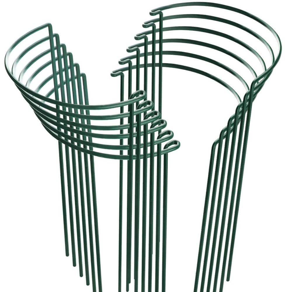 10 in. W x 15.8 in. H Metal Plant Stakes for Indoor Outdoor Plants, Plant Supports Ring Prop for Flower, Green (12-Pack) price history on PriceWatchPro