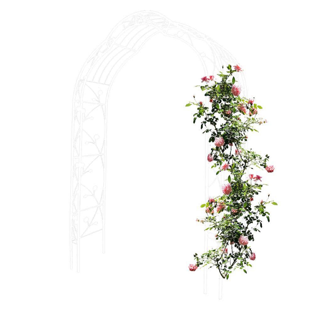 Metal 98.40 in. x 15.35 in. Garden Arch with 8 Styles Arbor Trellis Climbing Plants Support Outdoor Wedding Party Events price history on PriceWatchPro