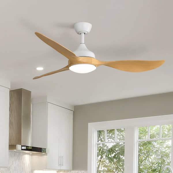 56 in. Downrod Mount Modern Ceiling Fan with Dimmable LED Light, Quiet DC Reversible Motor, for Indoor and Outdoor