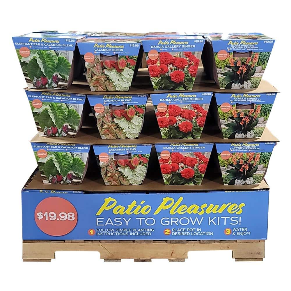 VAN ZYVERDEN Patio Container Kit Bulb Rack 06407 - The Home Depot