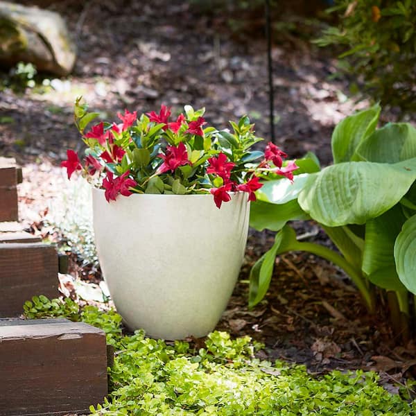 Medium 13 in. x 12 in. 20 qt. Bone High-Density Resin Egg Indoor/Outdoor Planter