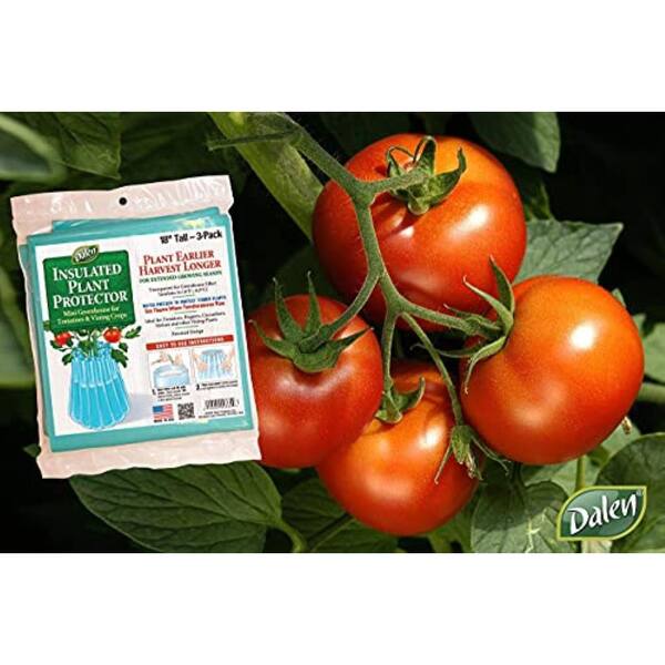 Dalen Season Starter Tomato Guard - 18 in. Red 3-Pack Wall O Water