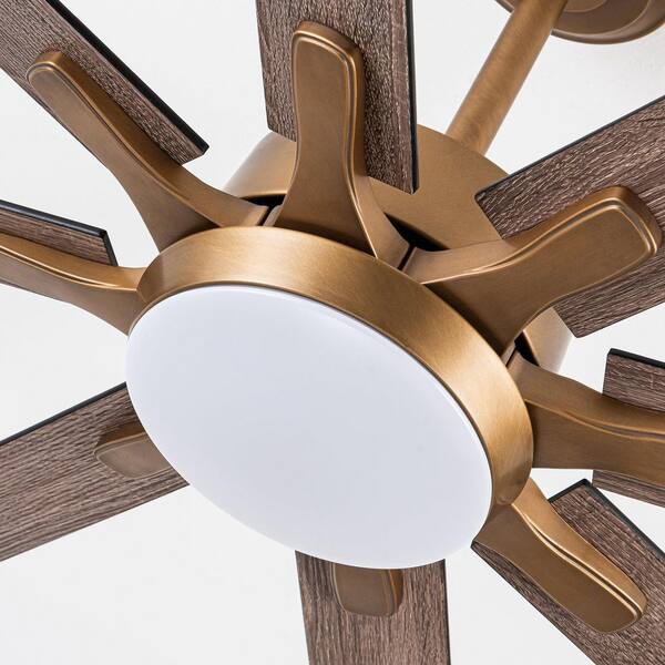 SkyFan Procyon 65 in. 8-Blade Color Changing LED Gold Plug & Play Ceiling Fan