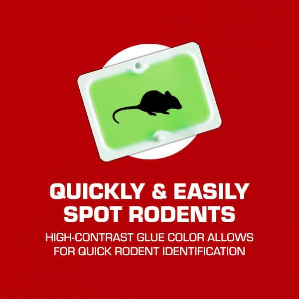 TOMCAT - Super Hold Glue Traps Mouse Size for Mice, Cockroaches, Spiders, and Scorpions, Ready-To-Use, 4 Traps