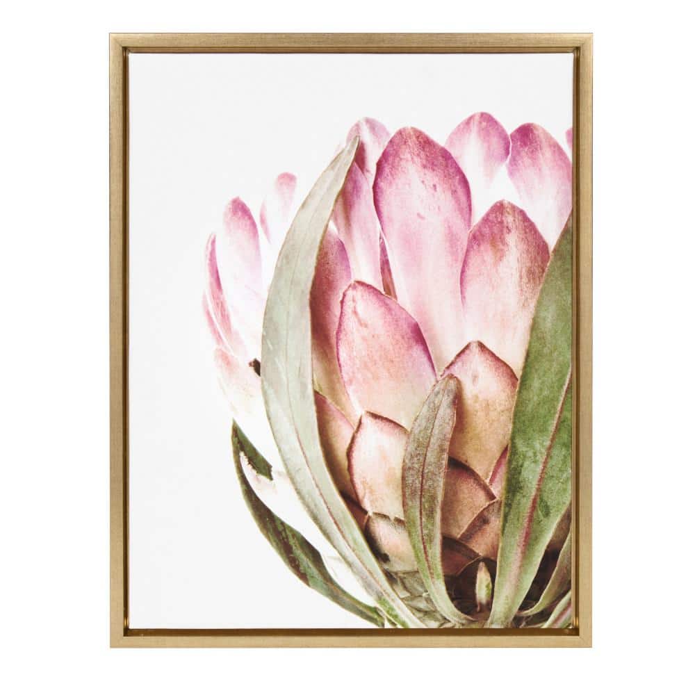 Kate and Laurel Sylvie Pink Protea Flower Framed Canvas Wall Art by Amy Peterson 18x24 Gold