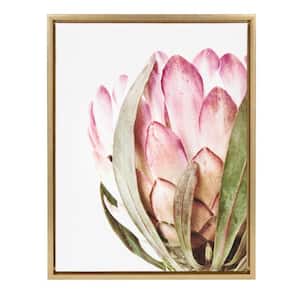 Sylvie "Pink Protea Flower" by Amy Peterson Framed Canvas Wall Art
