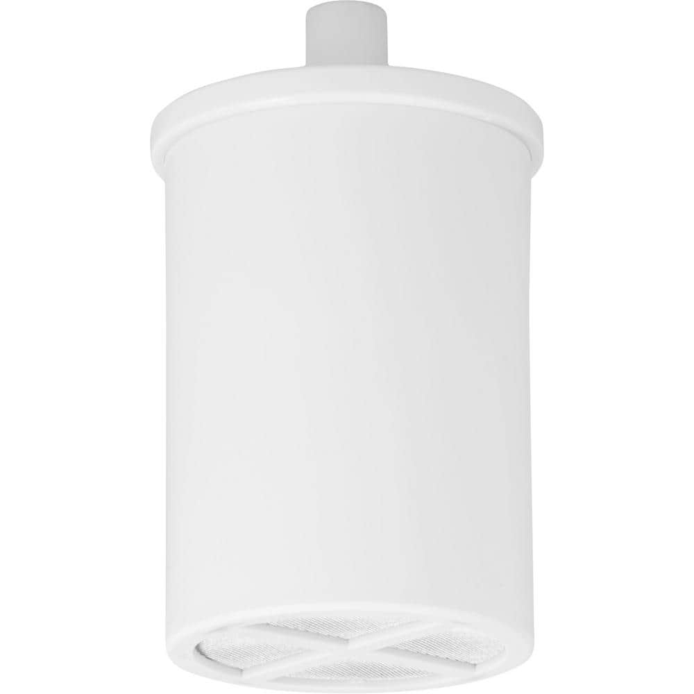 Chrome Universal Shower Head Water Filtration System