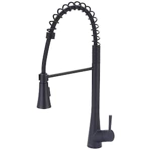 i2 Single-Handle Pull-Down Sprayer Kitchen Faucet with Pre-Rinse Sprayer in Matte Black